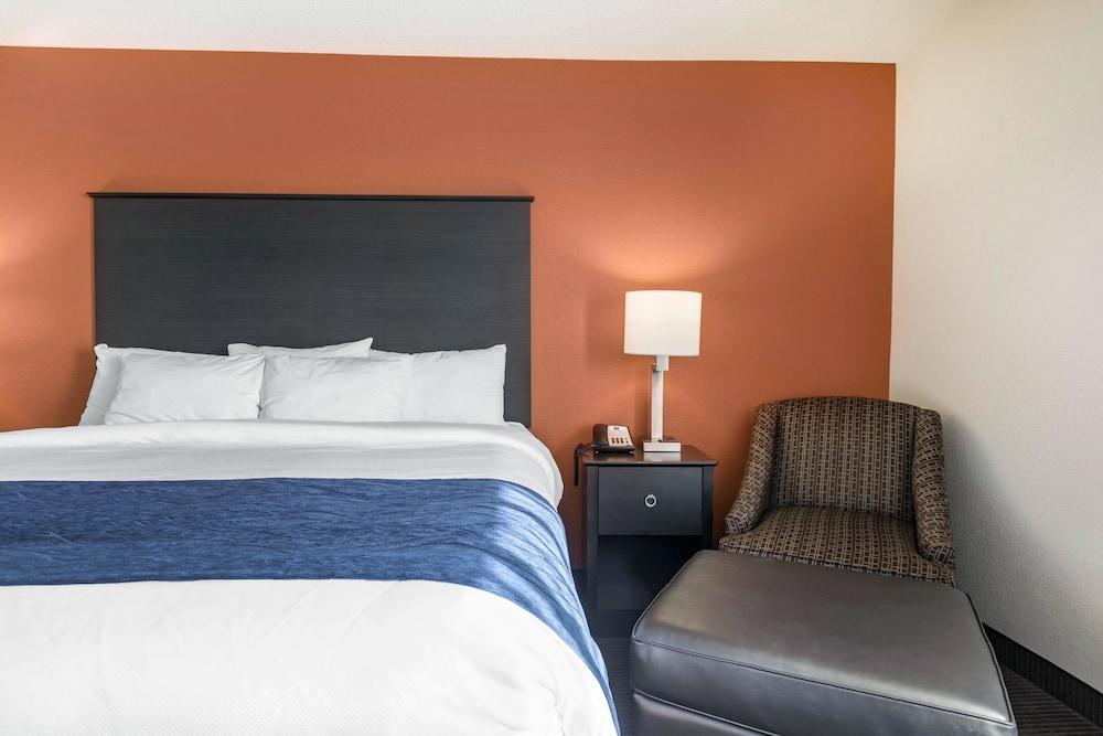Comfort Inn Wings Stadium Kalamazoo Luaran gambar