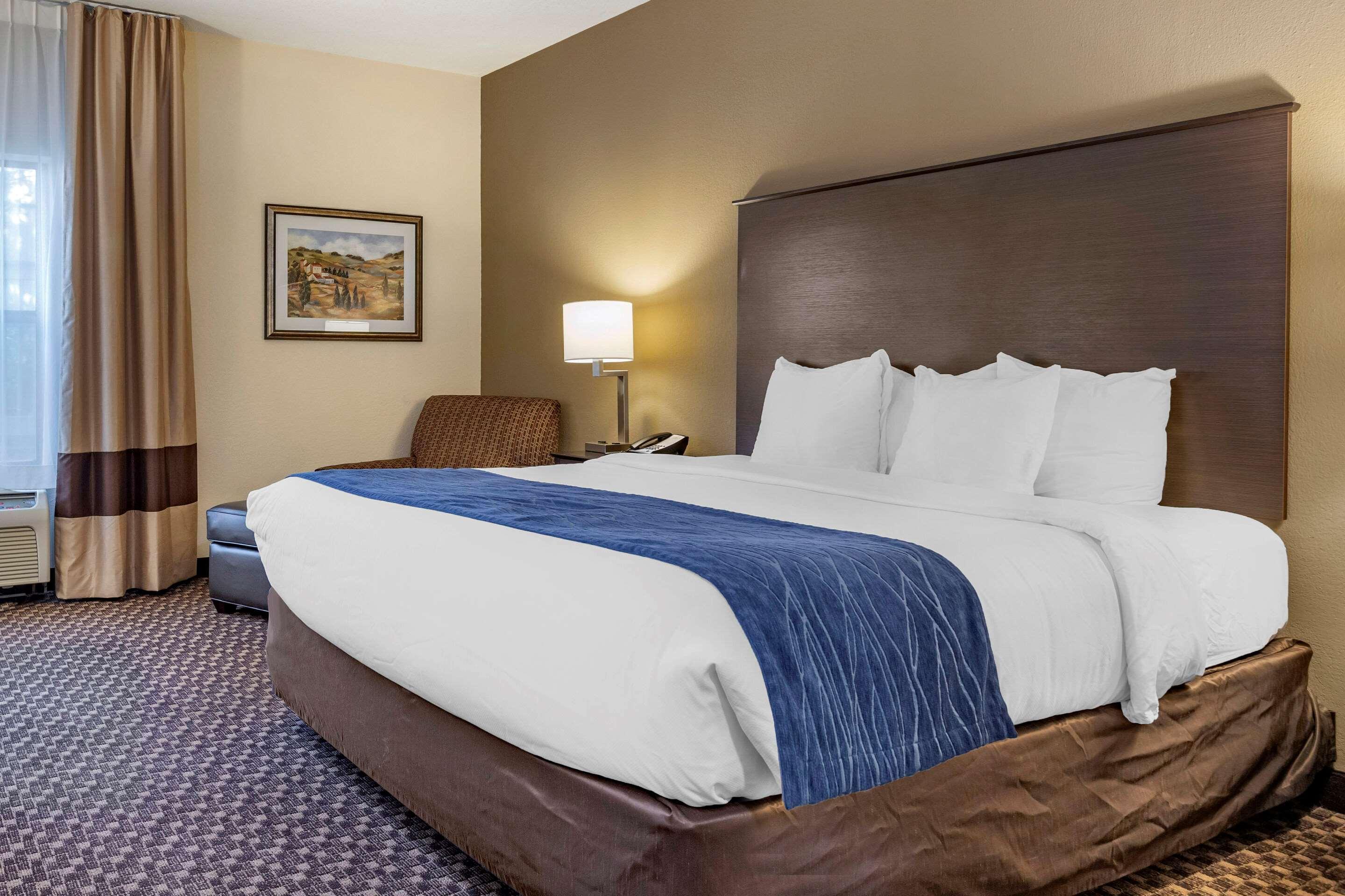Comfort Inn Wings Stadium Kalamazoo Luaran gambar