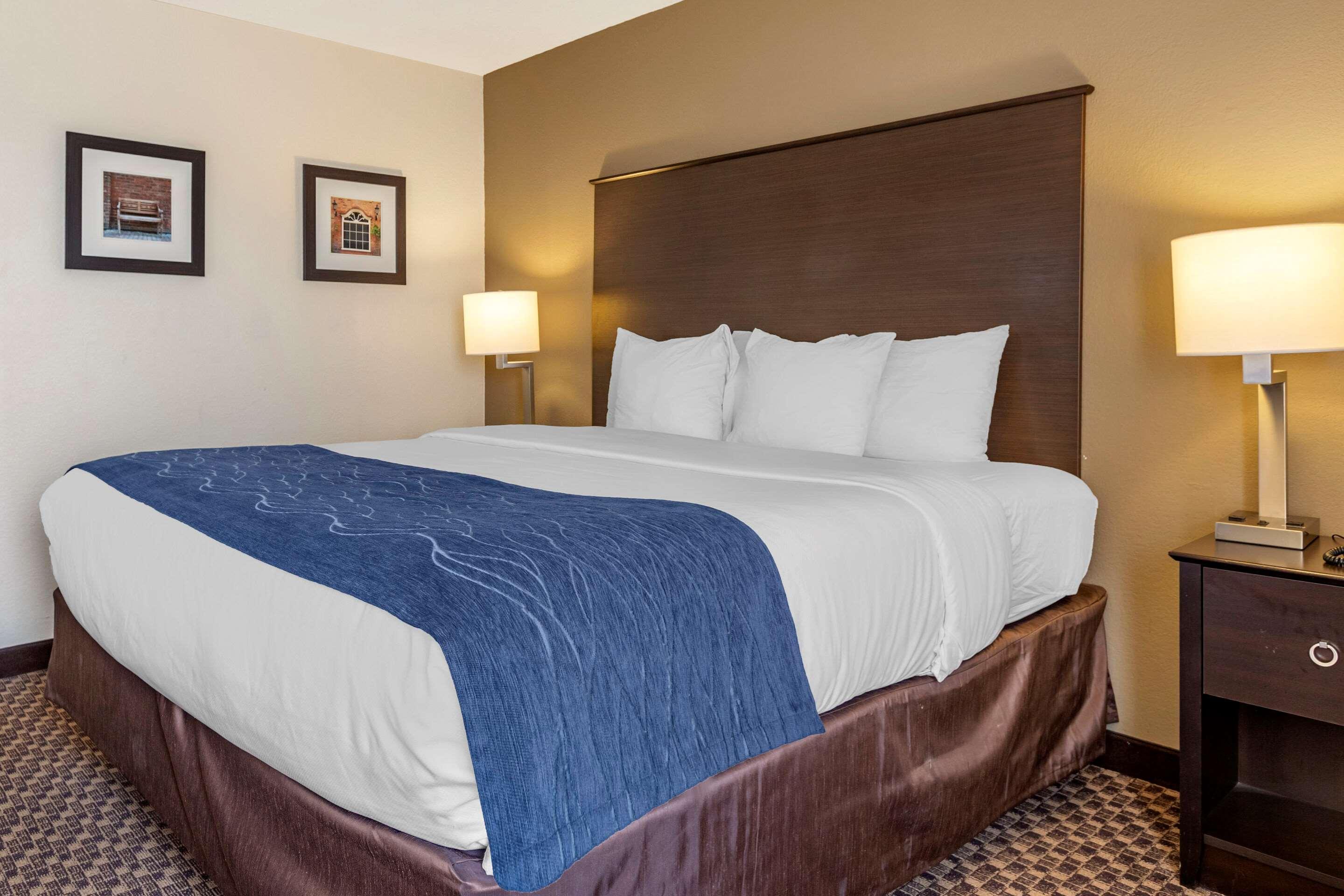 Comfort Inn Wings Stadium Kalamazoo Luaran gambar
